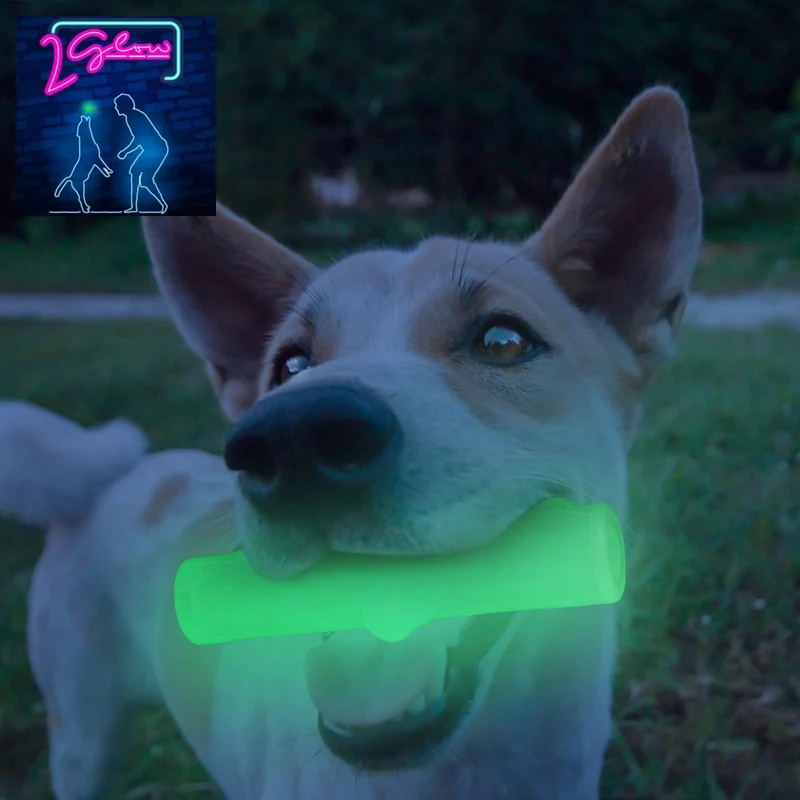 2 GLOW Hundespielzeug - Apportierspielzeug Leckerliball Ball Bone Ring TPR Gummi
