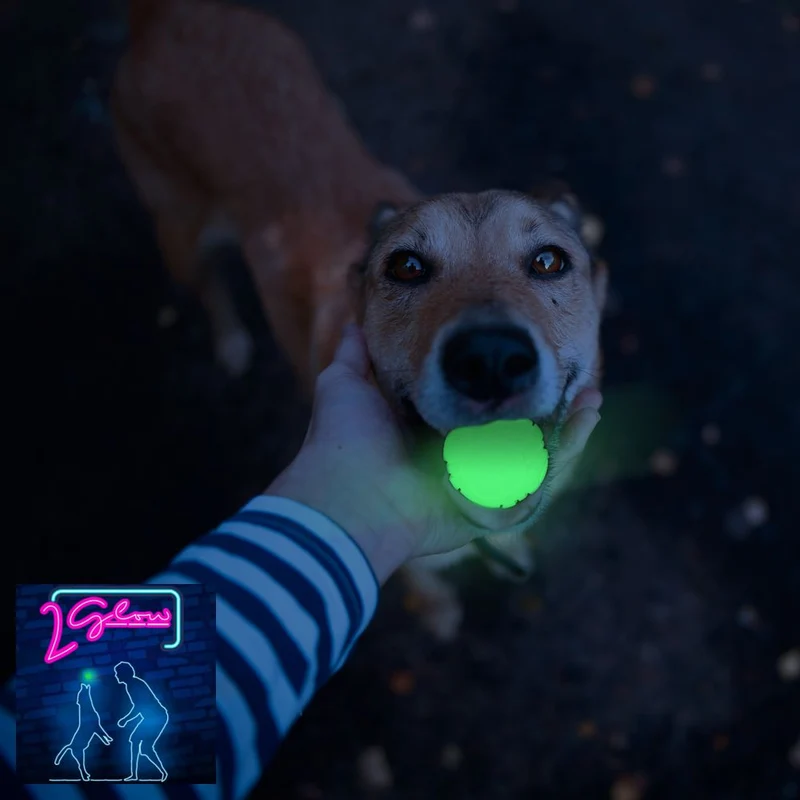 2 GLOW Hundespielzeug - Apportierspielzeug Leckerliball Ball Bone Ring TPR Gummi