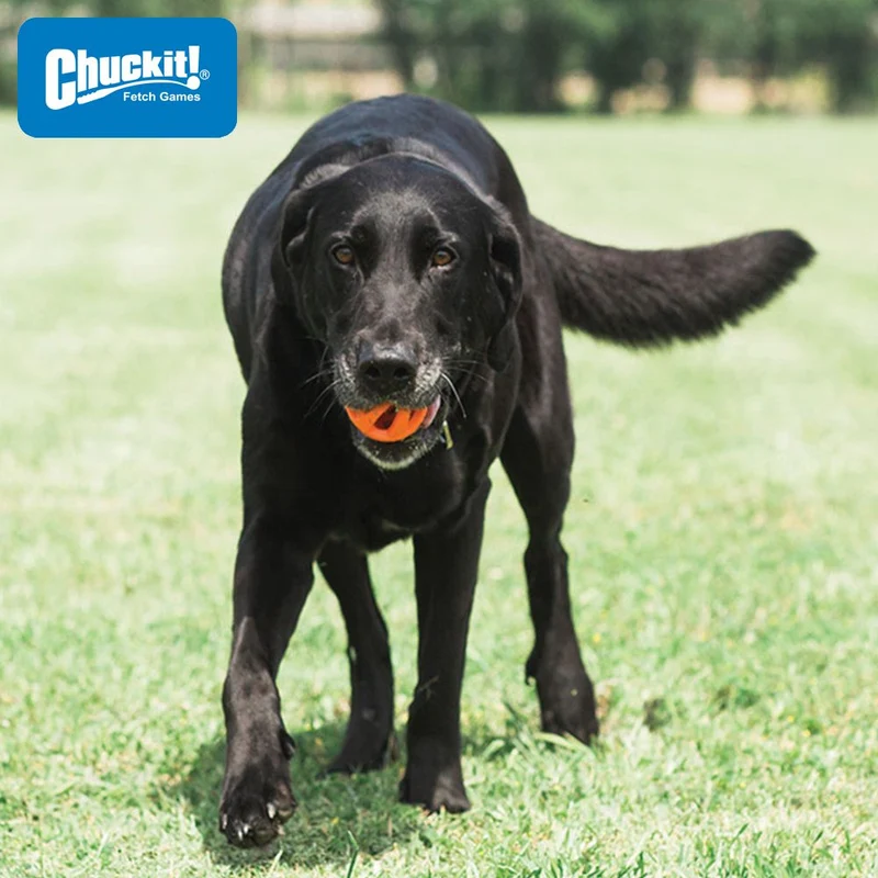 Chuckit! Breathe Right Fetch Ball - Apportierspielzeug Hundespielzeug - schwimmt