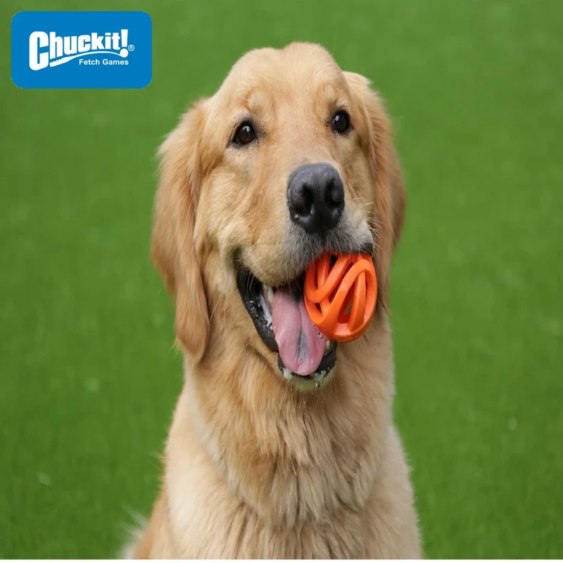 Chuckit! Breathe Right Fetch Ball - Apportierspielzeug Hundespielzeug - schwimmt