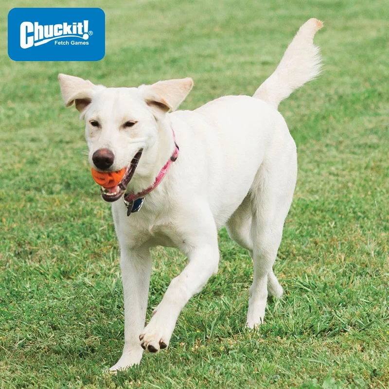 Chuckit! Breathe Right Fetch Ball - Apportierspielzeug Hundespielzeug - schwimmt