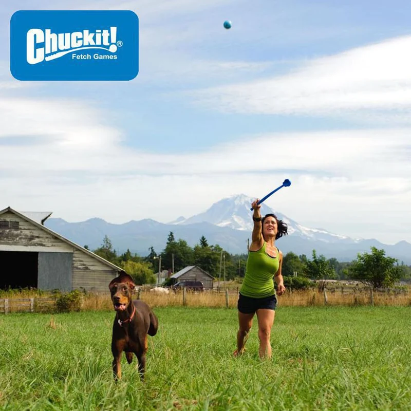 Chuckit! Strato Ball - Apportierspielzeug Hundespielzeug Gummiball - springt gut