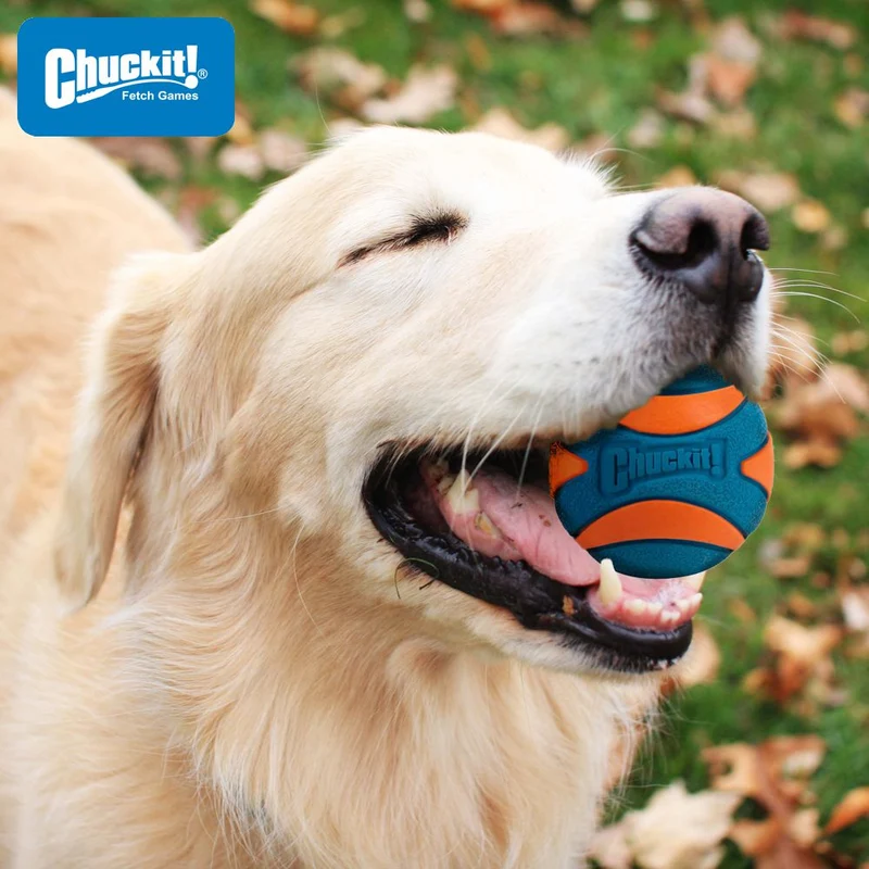 Chuckit! Ultra Squeaker Ball - Apportierspielzeug Hundespielzeug mit Quietschie