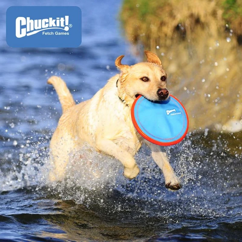 Chuckit! Paraflight - Wurfscheibe - Apportierspielzeug Flyer Hundespielzeug