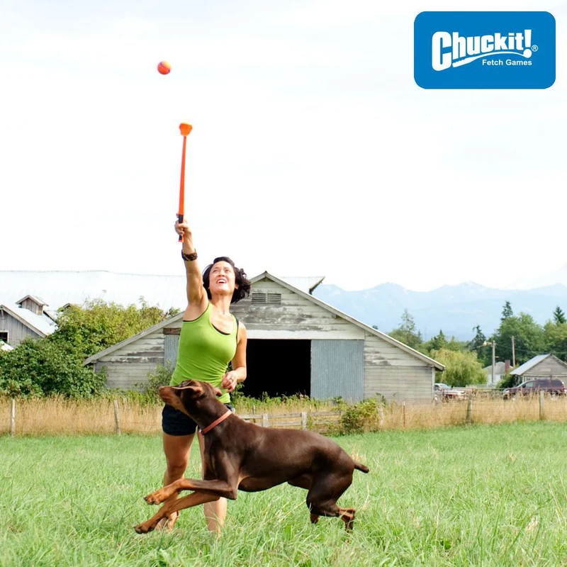 Chuckit! Junior Ball Launcher 18M - 45 cm lang - Größe M - Ballschleuder Werfer