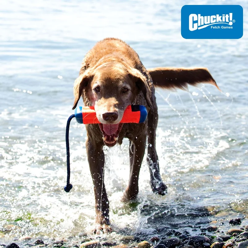 Chuckit! Amphibious Bumper - Apportierspielzeug Hundespielzeug Wasserspielzeug