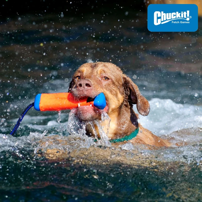 Chuckit! Amphibious Bumper - Apportierspielzeug Hundespielzeug Wasserspielzeug