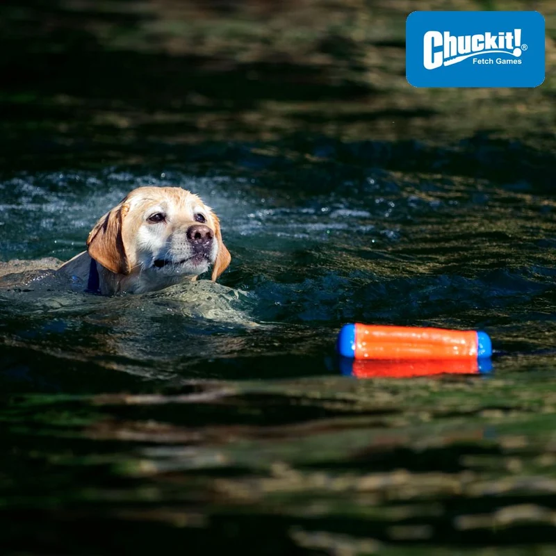 Chuckit! Amphibious Bumper - Apportierspielzeug Hundespielzeug Wasserspielzeug