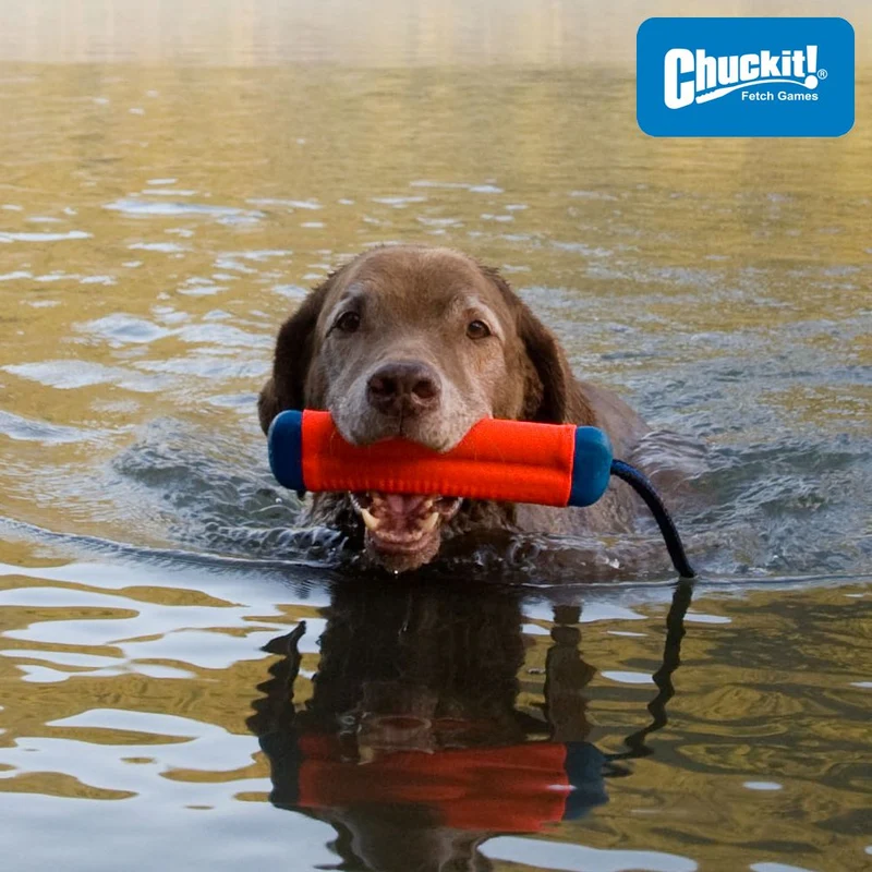 Chuckit! Amphibious Bumper - Apportierspielzeug Hundespielzeug Wasserspielzeug