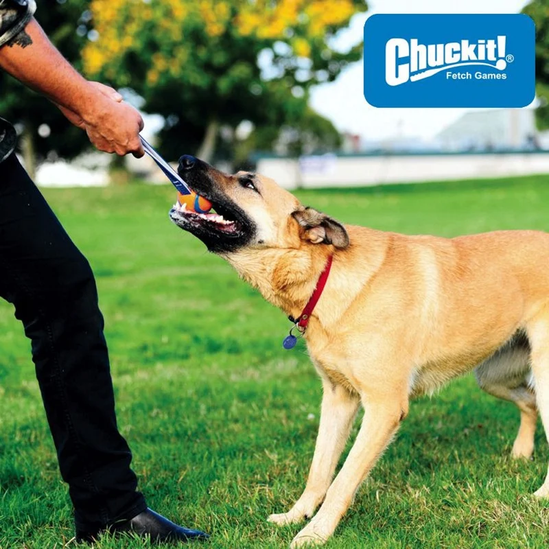 Chuckit! Ultra Tug - Ball mit Wurfschlaufe - Apportierspielzeug Zerrspielzeug