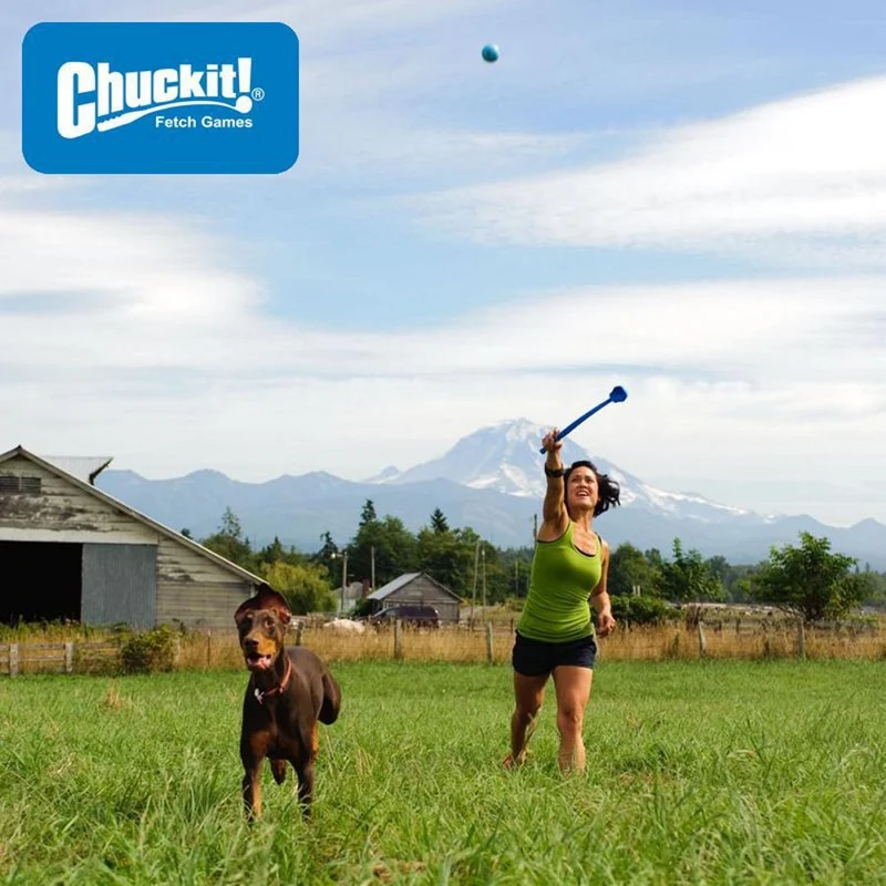Chuckit! The Whistler Ball - Apportierspielzeug Hundespielzeug Snackball pfeift