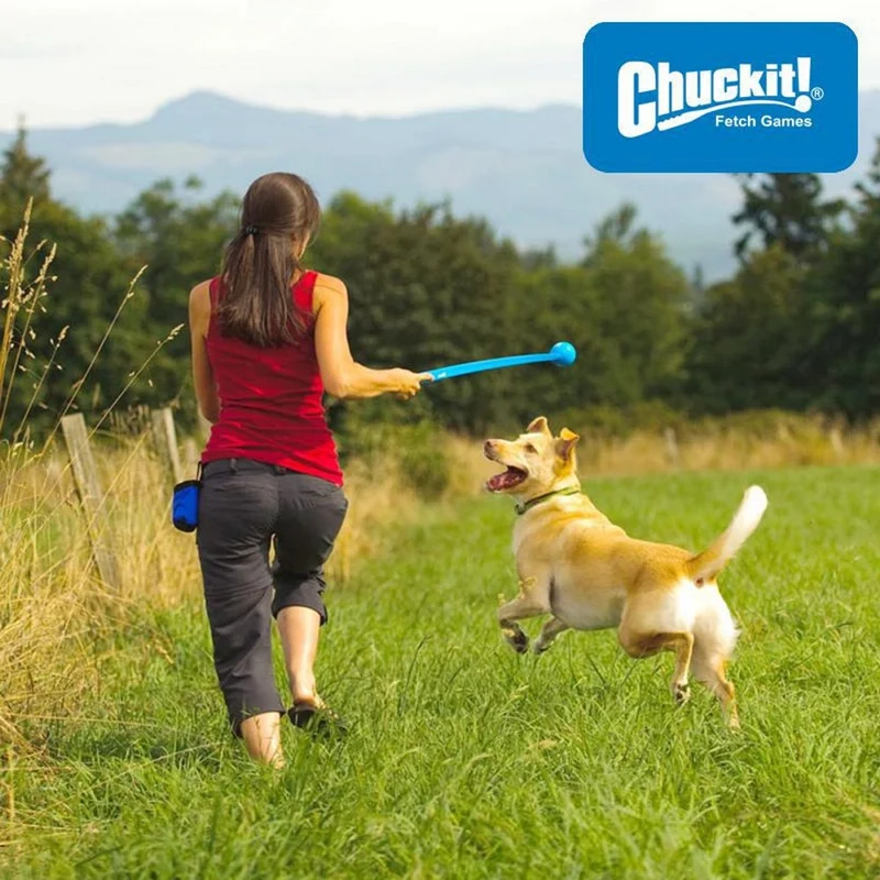 Chuckit! The Whistler Ball - Apportierspielzeug Hundespielzeug Snackball pfeift