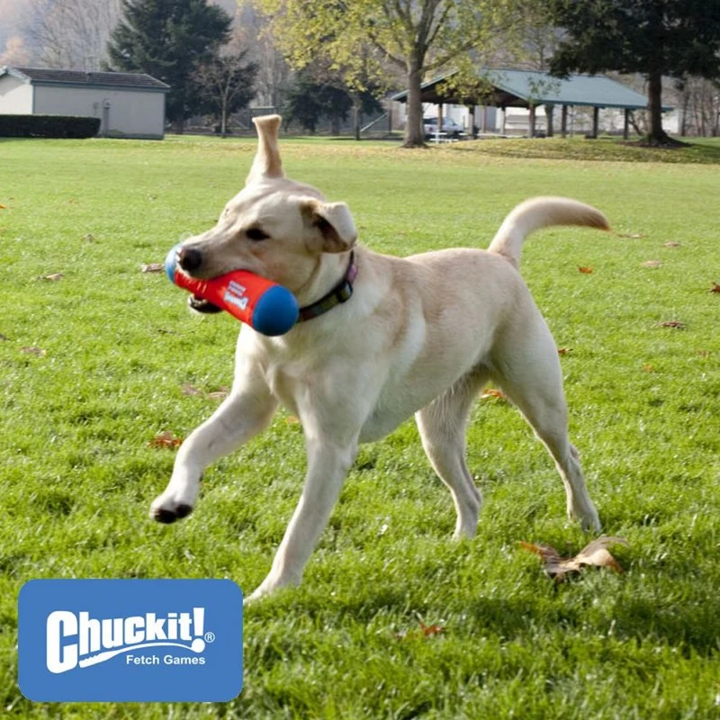Chuckit! Tumble Bumper - Apportierspielzeug Hundespielzeug Wasserspielzeug