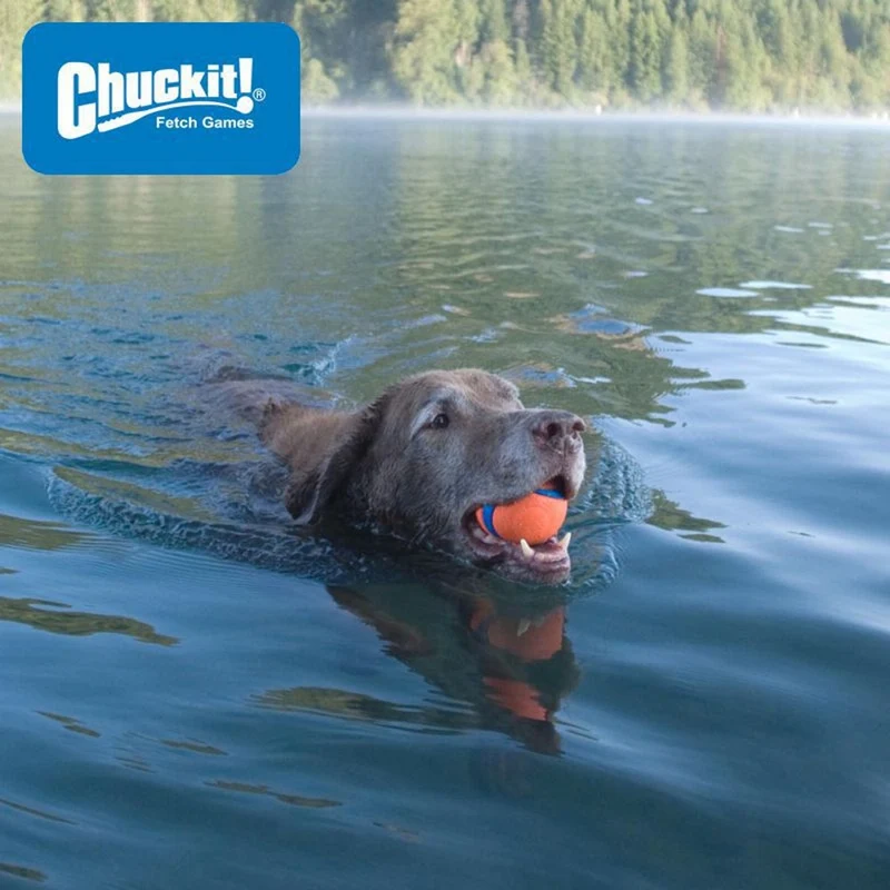 Chuckit! Ultra Ball - Apportierspielzeug Hundespielzeug - springt gut & schwimmt