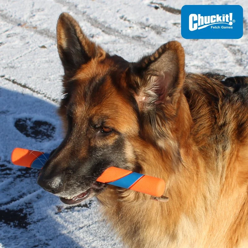 Chuckit! Ultra Fetch Stick - Apportierspiel Hundespielzeug Stöckchen Wurfspiel