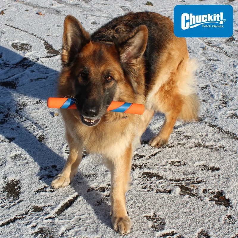 Chuckit! Ultra Fetch Stick - Apportierspiel Hundespielzeug Stöckchen Wurfspiel