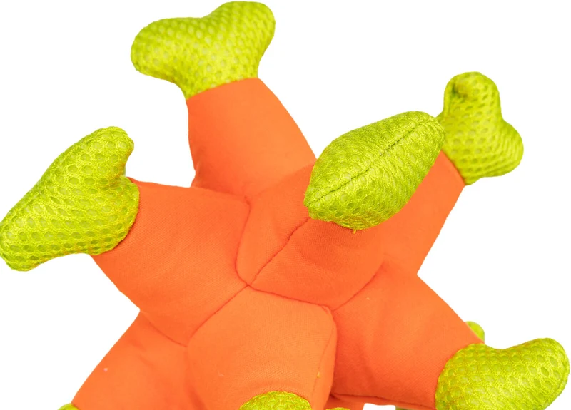 Aqua Toy Seeigel