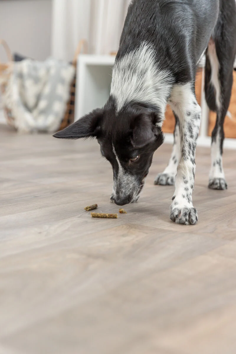 Sticks mit Obst & Gemüse