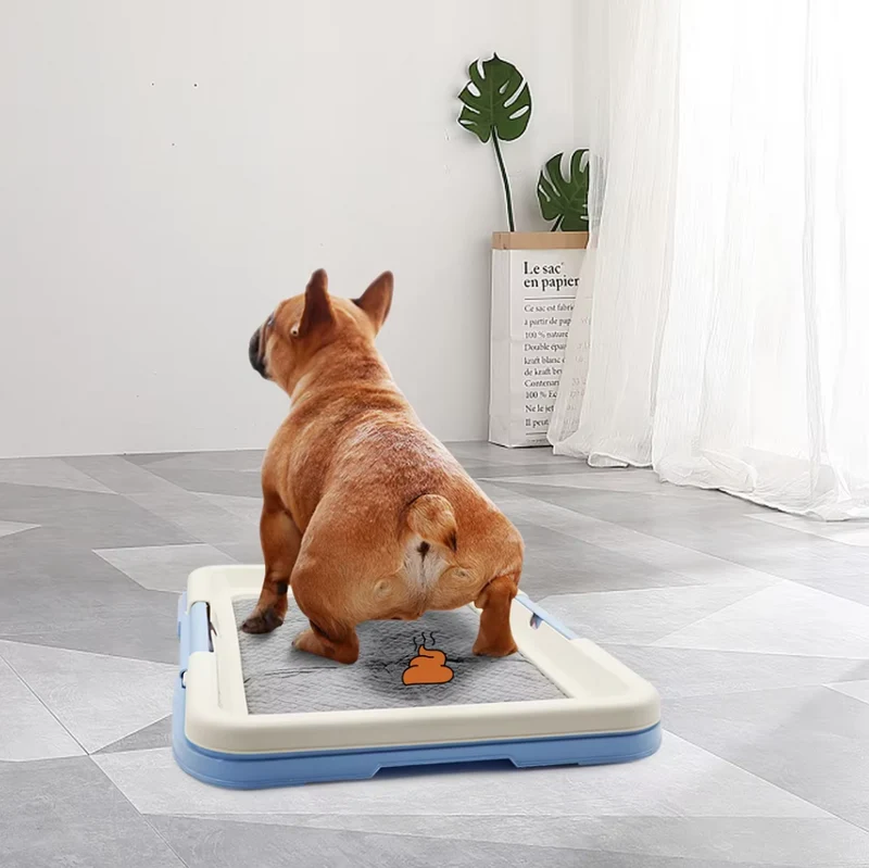 Hunde Wc Indoor – Sauberes Hundeklo Mit Rutschfester Matte Für Welpen Kleine Hunde