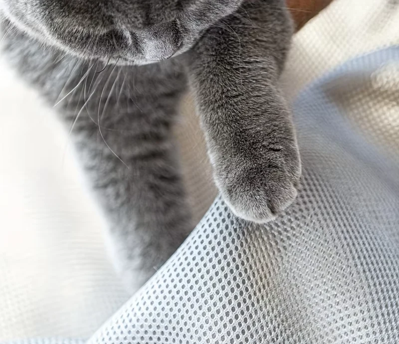 Katzen Hängematte – Atmungsaktives Katzenbett Mit Stabilen Metallgestell Für Gemütliche Ruhepausen