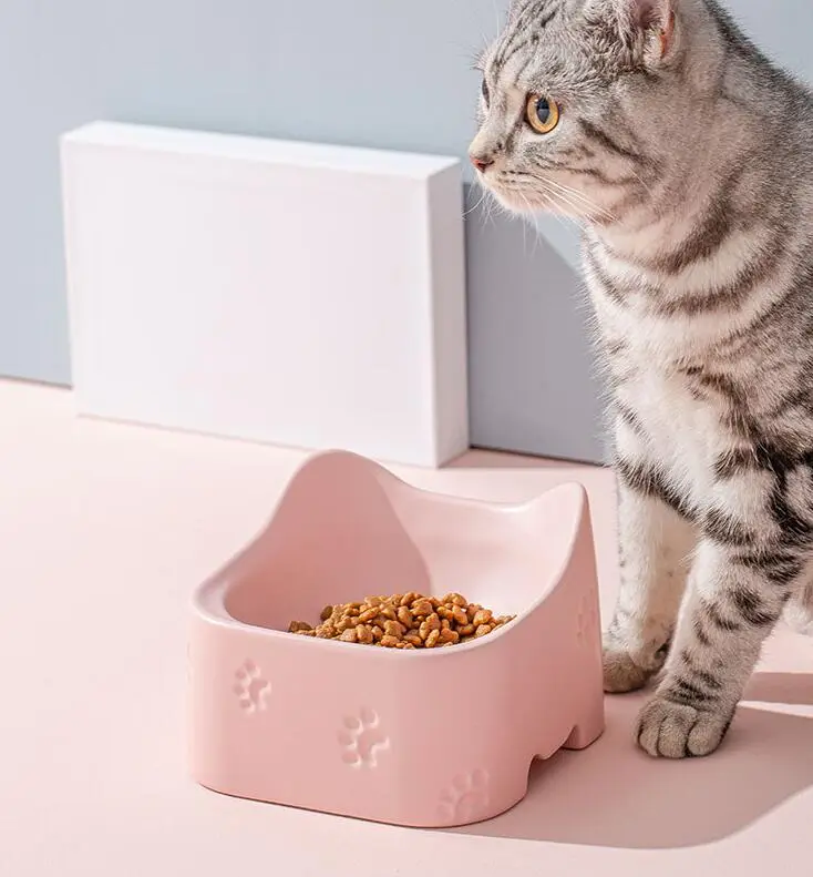 Erhöhte Futterschale Für Katzen – Ergonomisches Und Rutschfestes Design