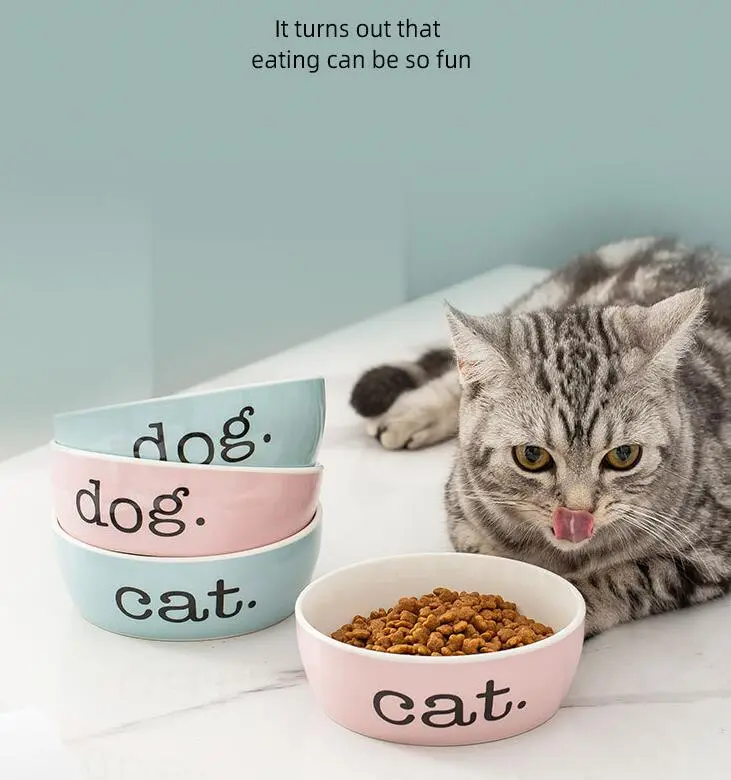 Erhöhte Futterschale Für Katzen – Ergonomisches Und Rutschfestes Design