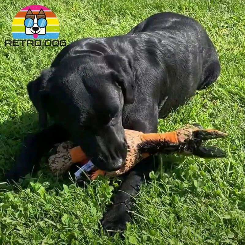 Retro Dog Donkey Hundespielzeug - Esel - Kuscheltier Plüschtier mit Quitscher