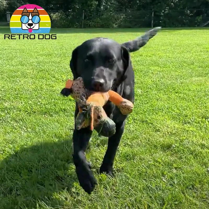 Retro Dog Donkey Hundespielzeug - Esel - Kuscheltier Plüschtier mit Quitscher