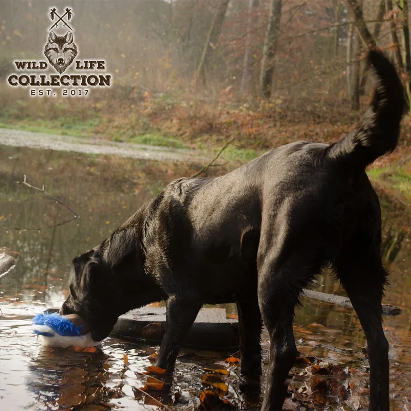 Wild Life Hundespielzeug - Plüsch Kuscheltier - Spielzeug mit Quitscher & Seil