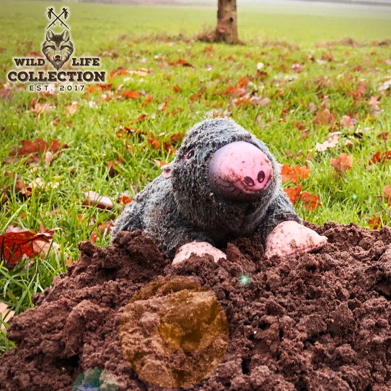 Wild Life Hundespielzeug - Plüsch Kuscheltier - Spielzeug mit Quitscher & Seil