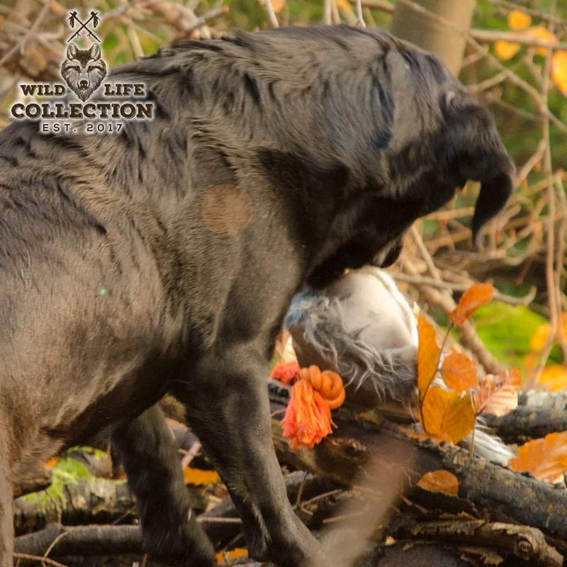 Wild Life Hundespielzeug - Plüsch Kuscheltier - Spielzeug mit Quitscher & Seil