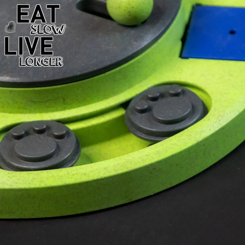 EAT SLOW Intelligenzspielzeug CIRCLE - Brettspiel Denkspiel Snackspielzeug