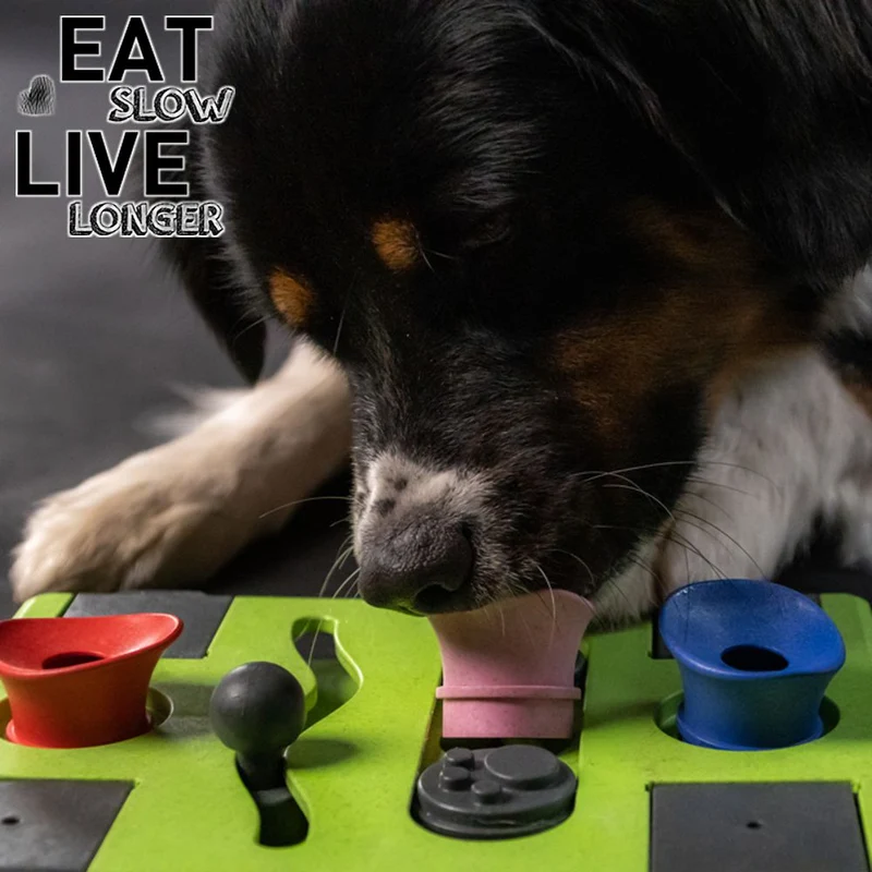 EAT SLOW Intelligenzspielzeug RECTANGLE - Brettspiel Denkspiel Snackspielzeug