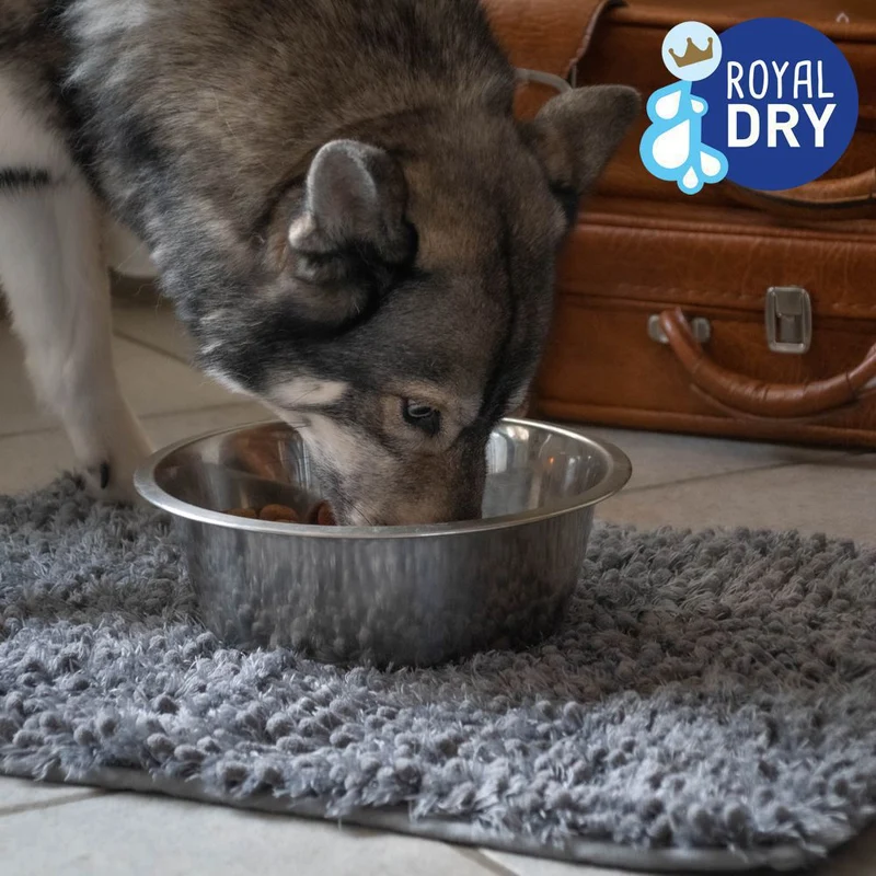Royal Dry Hundematte S/M/L - Schlafplatz Fußmatte Napfunterlage Schutzfangmatte