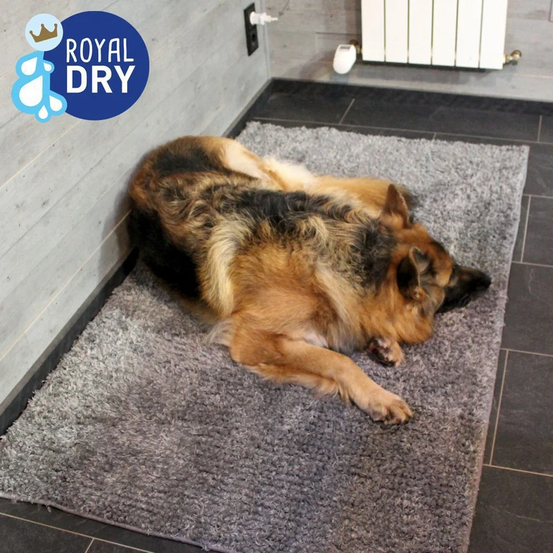 Royal Dry Hundematte S/M/L - Schlafplatz Fußmatte Napfunterlage Schutzfangmatte