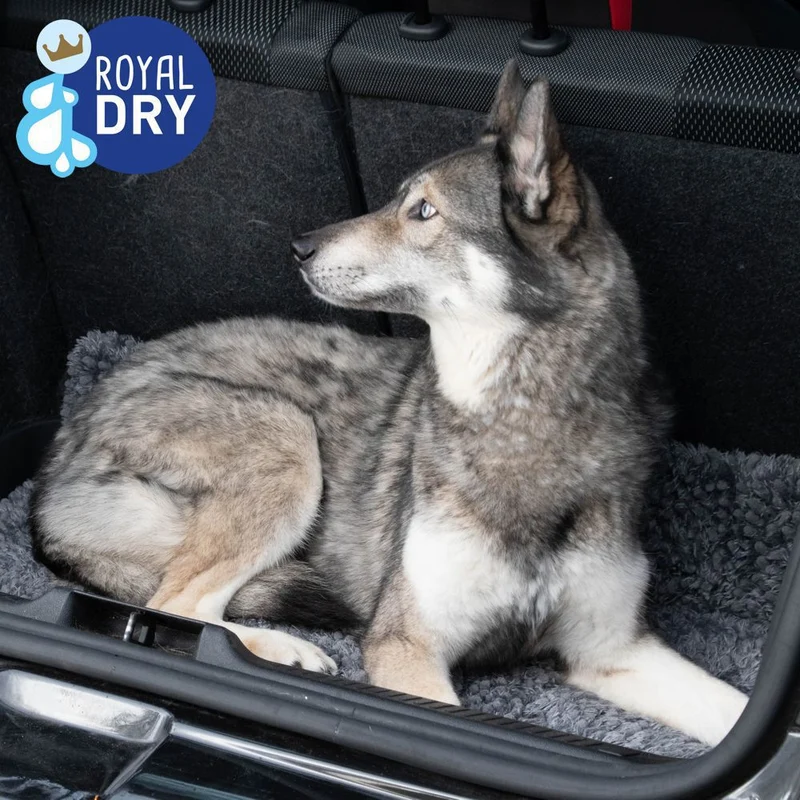Royal Dry Hundematte S/M/L - Schlafplatz Fußmatte Napfunterlage Schutzfangmatte
