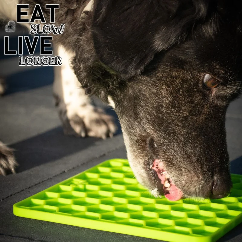 EAT SLOW LIVE LONGER Schleckmatte - Silikon - Leckmatte - Anti-Schlingmatte