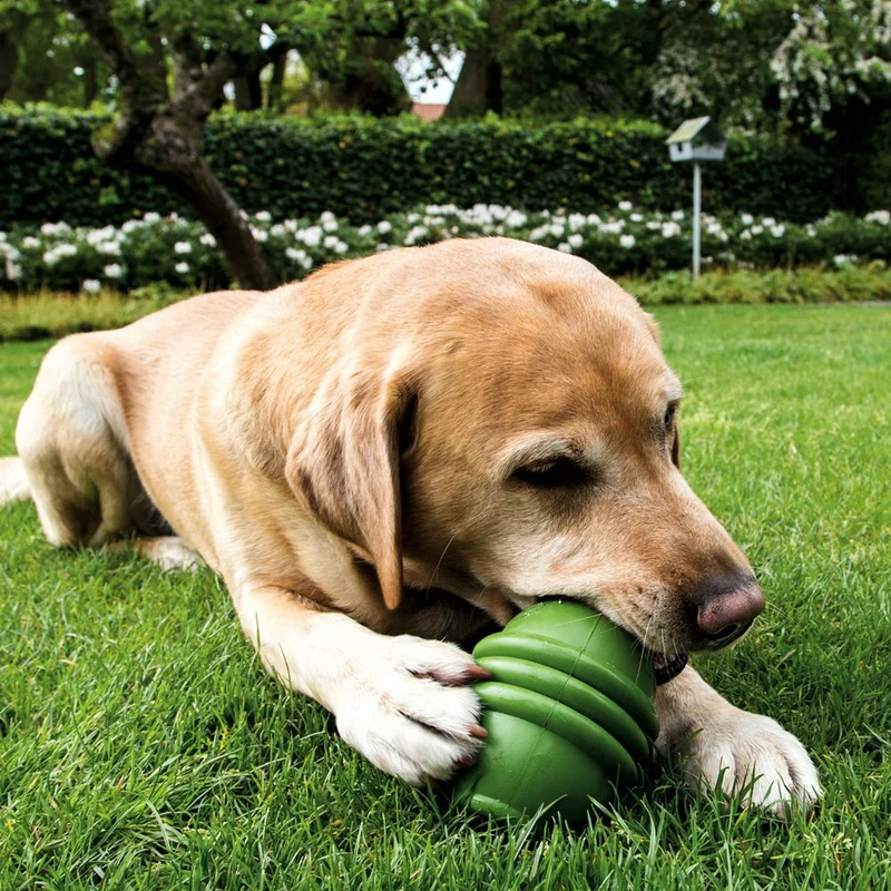 Beeztees SUMO PLAY - S/M/L - Apportierspielzeug Snackspielzeug Kauspiel Hund
