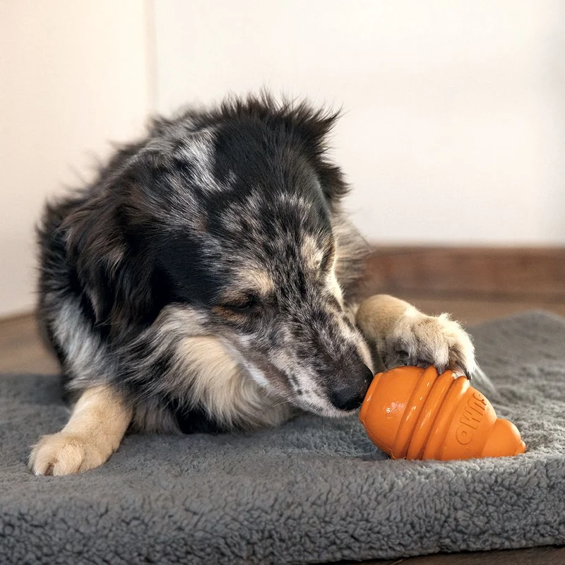 Beeztees SUMO PLAY - S/M/L - Apportierspielzeug Snackspielzeug Kauspiel Hund