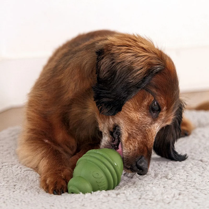 Beeztees SUMO PLAY - S/M/L - Apportierspielzeug Snackspielzeug Kauspiel Hund