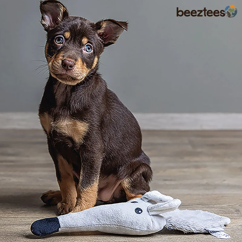Beeztees Plüsch-Welpenspielzeug - Krokodil Maus - Puppy Plüschspielzeug knistert
