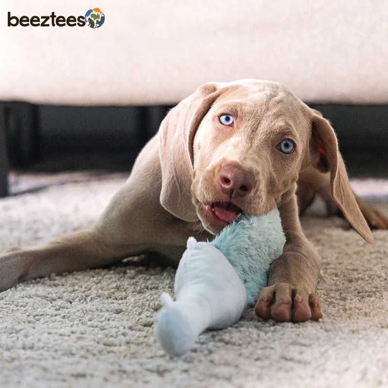 Beeztees Plüsch-Welpenspielzeug - Krokodil Maus - Puppy Plüschspielzeug knistert