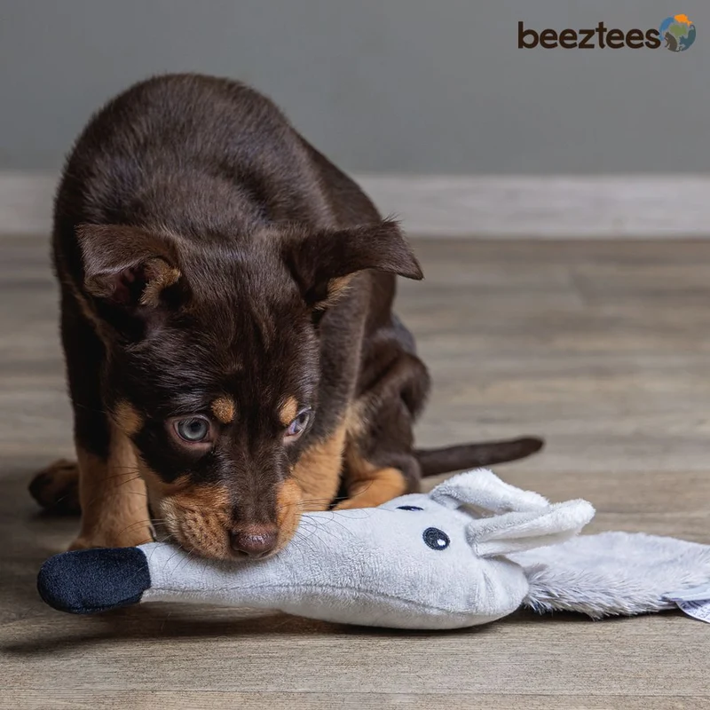 Beeztees Plüsch-Welpenspielzeug - Krokodil Maus - Puppy Plüschspielzeug knistert