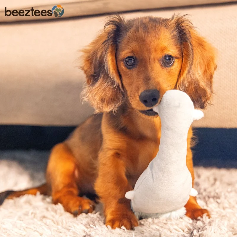 Beeztees Plüsch-Welpenspielzeug - Krokodil Maus - Puppy Plüschspielzeug knistert