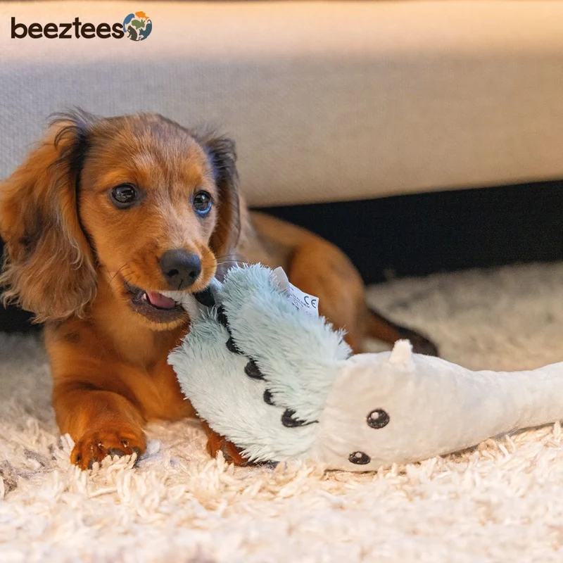 Beeztees Plüsch-Welpenspielzeug - Krokodil Maus - Puppy Plüschspielzeug knistert