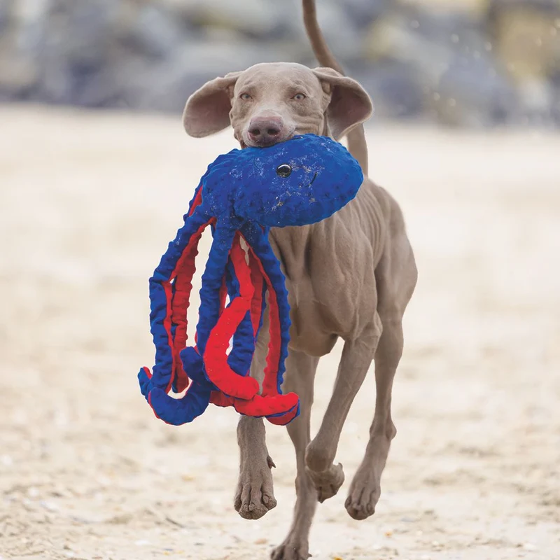 Beeztees Plüsch-Hundespielzeug - Oktopus Amy - Plüschspielzeug ohne Squeaker