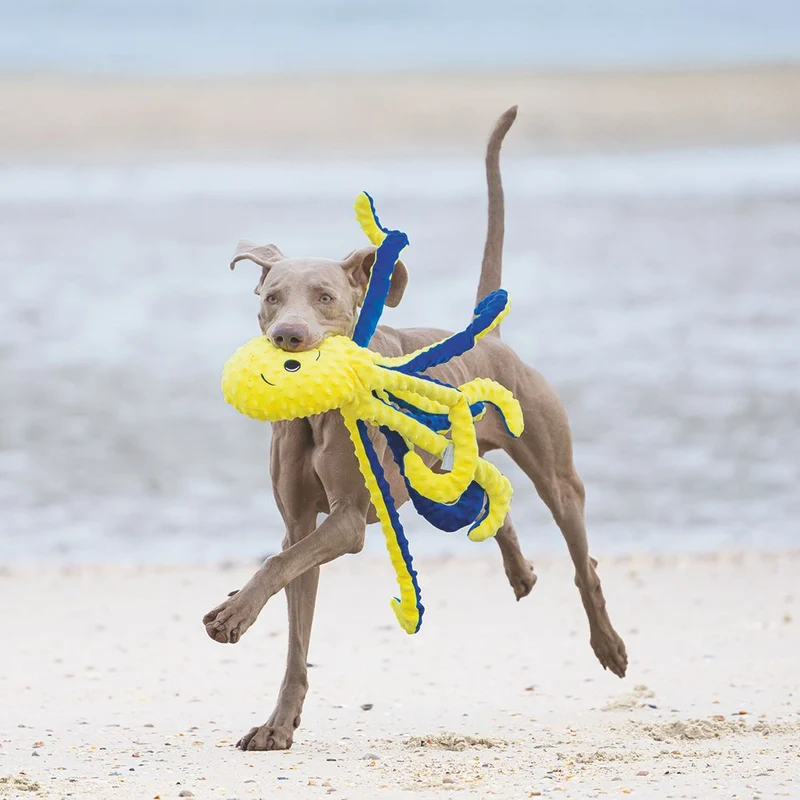 Beeztees Plüsch-Hundespielzeug - Oktopus Amy - Plüschspielzeug ohne Squeaker