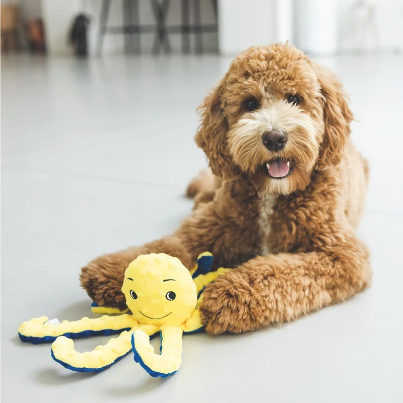 Beeztees Plüsch-Hundespielzeug - Oktopus Amy - Plüschspielzeug ohne Squeaker