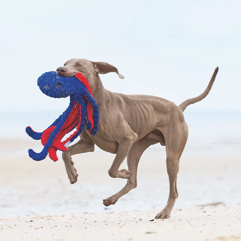 Beeztees Plüsch-Hundespielzeug - Oktopus Amy - Plüschspielzeug ohne Squeaker