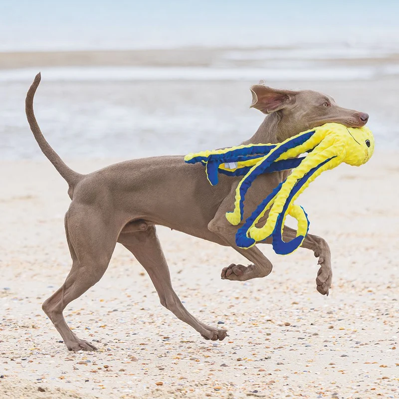 Beeztees Plüsch-Hundespielzeug - Oktopus Amy - Plüschspielzeug ohne Squeaker